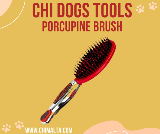 CHI PETS PORCUPINE BRUSH FOR ( DOGS ) image 0