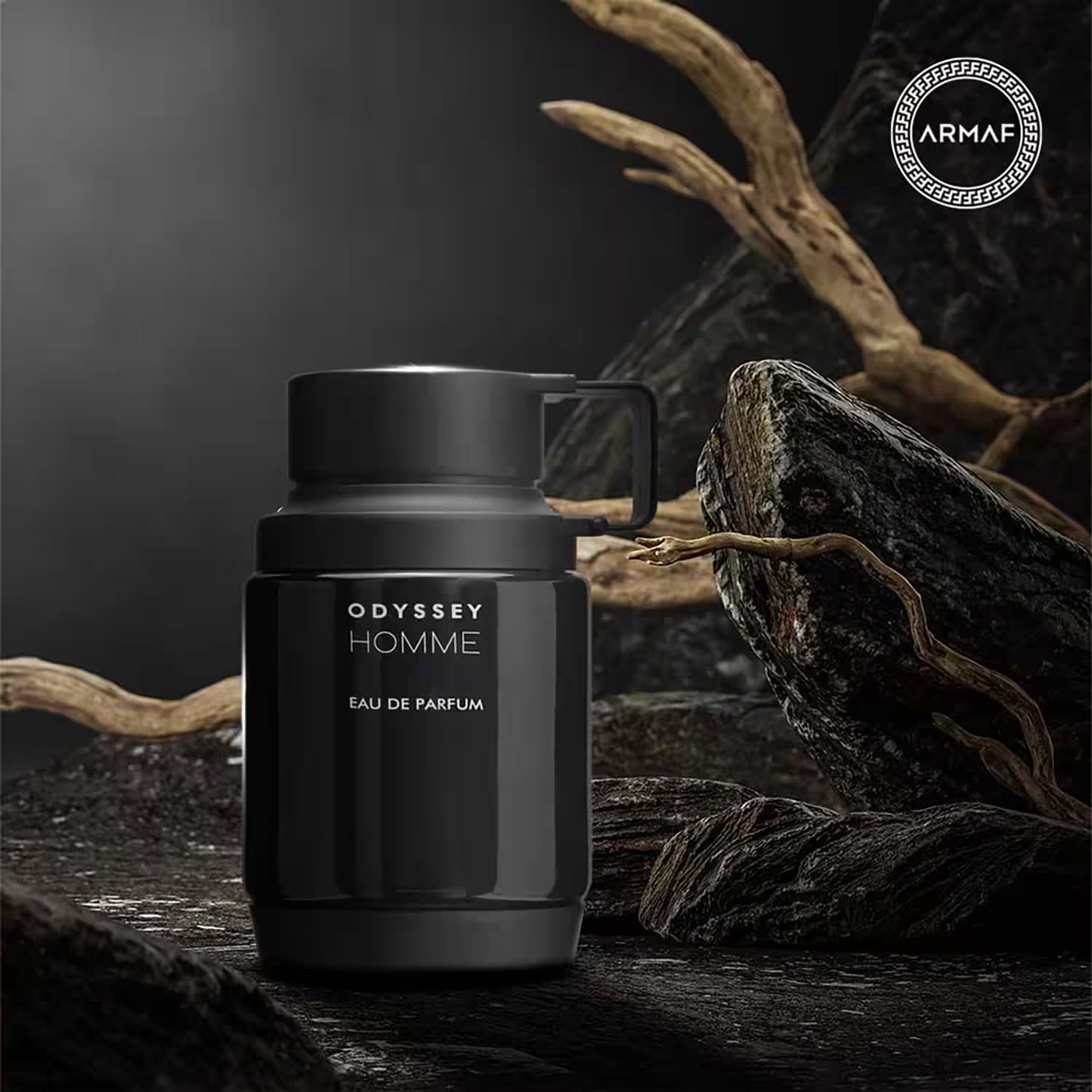 Armaf Odyssey Homme EDP M  100 ml