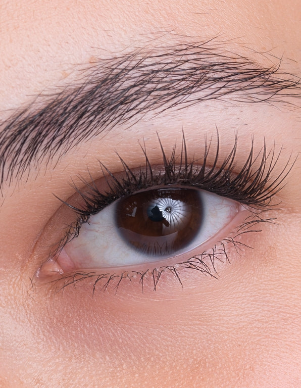 ANSWR At-home lash Extensions Tool kit